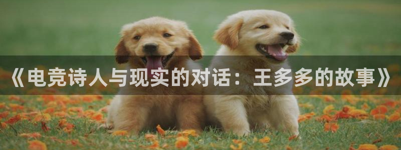 火博电竞