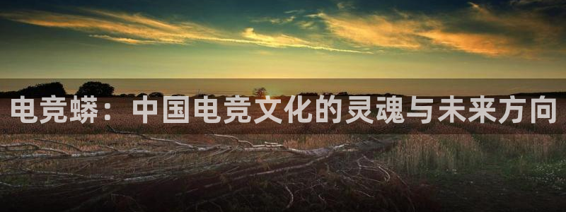 火博电竞官网入口