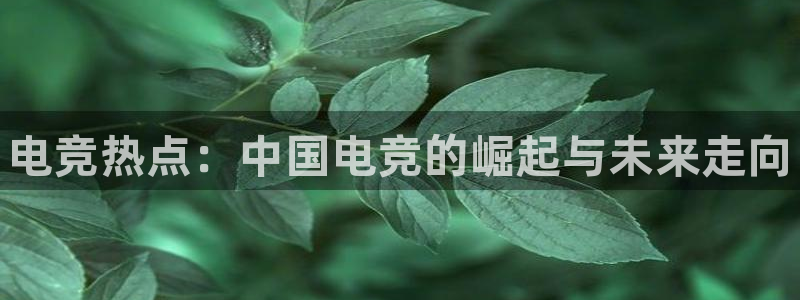 火博电竞