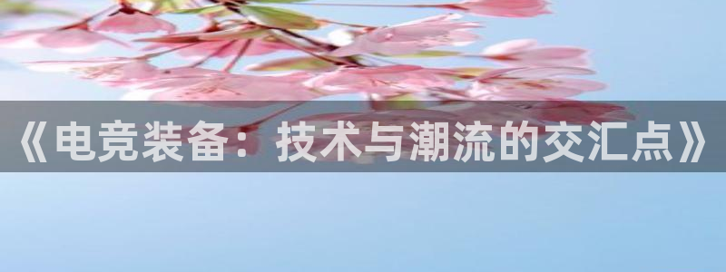 火博电竞app官网网站