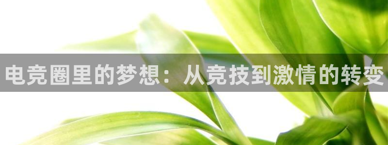火博电竞