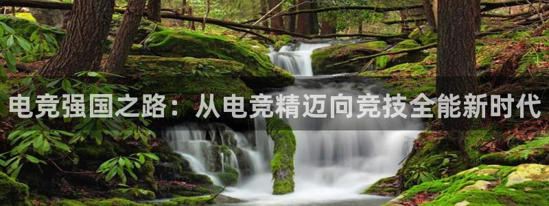 火博电竞网站